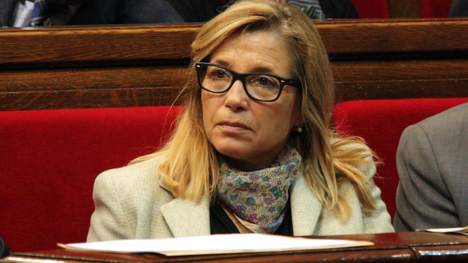 La vicepresidenta Joana Ortega, aquest dimecres al Parlament / ACN