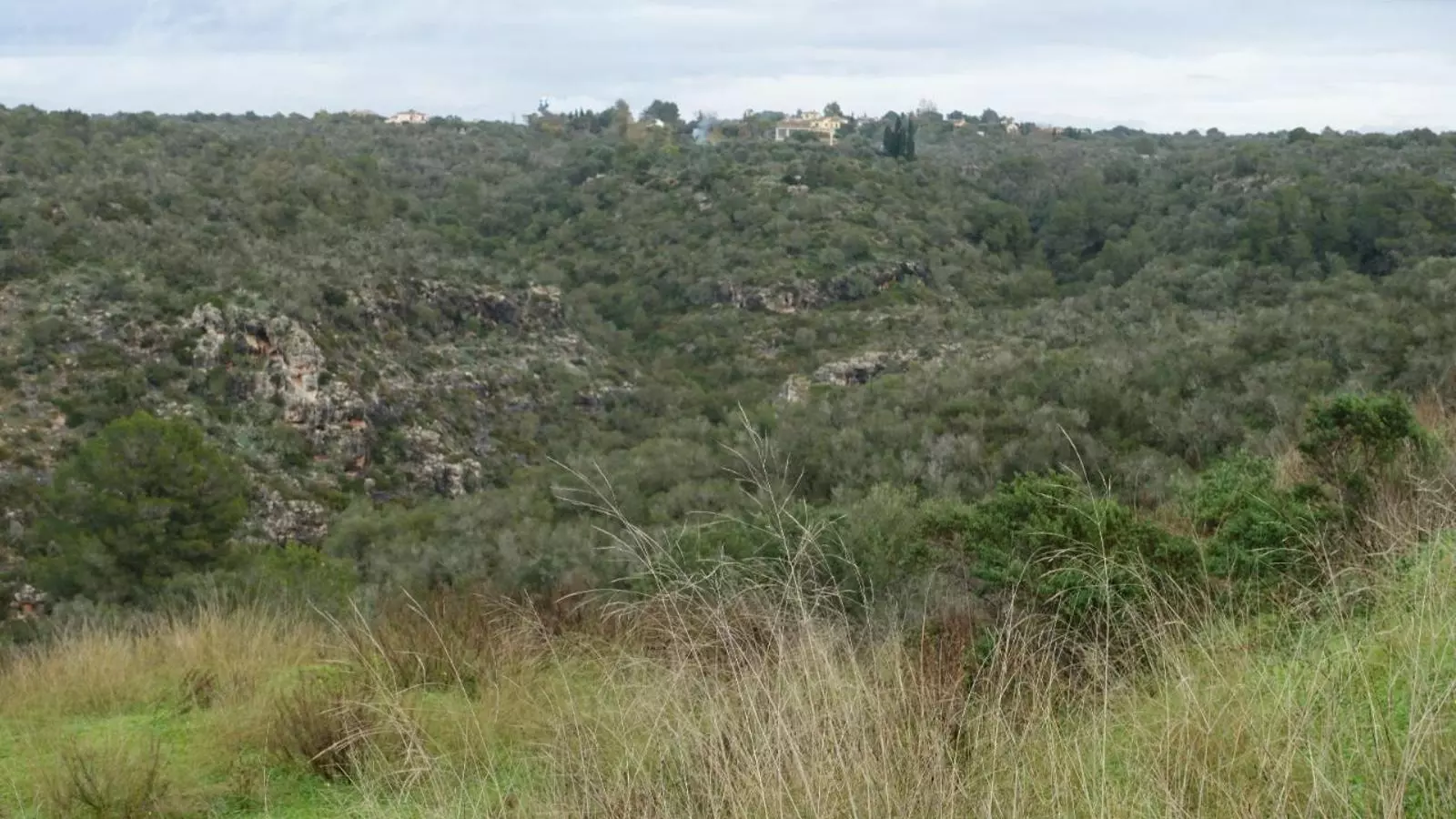 Entorn de l'urbanització de Son Gual 1