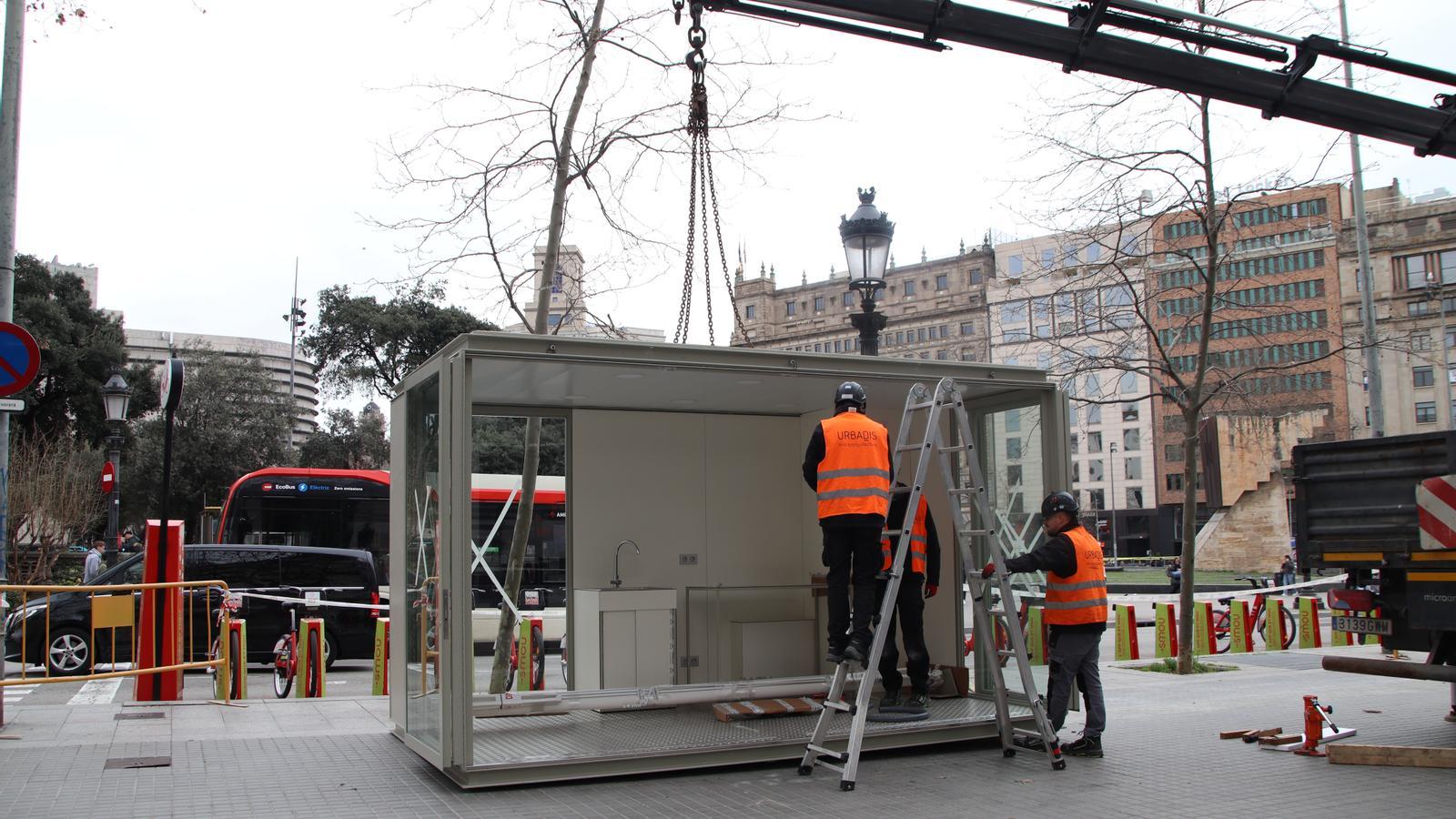 The first flower stall to be set up in Plaça Catalunya.