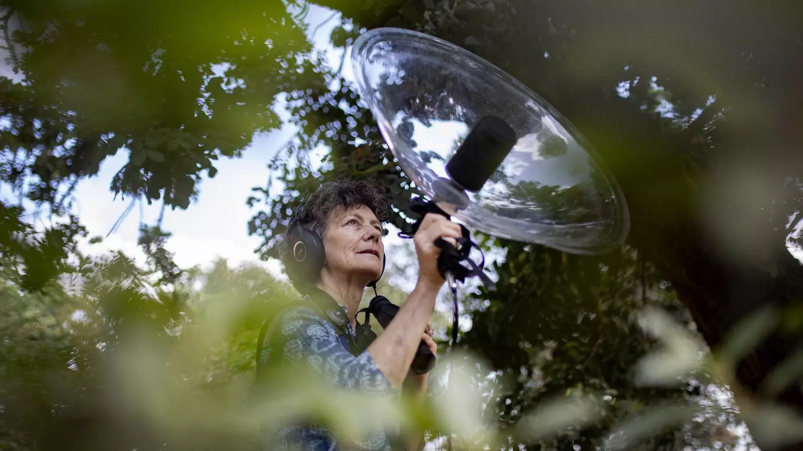 Eloïsa Matheu.