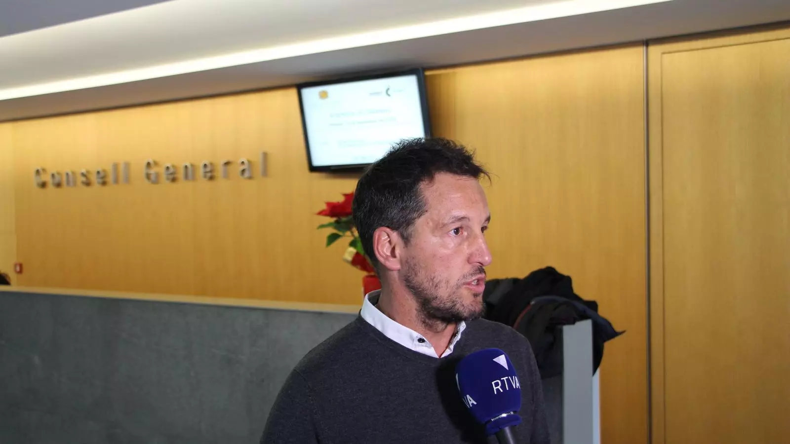 Pere López, durant les declaracions d'aquest dimecres al Consell General. / A.S.