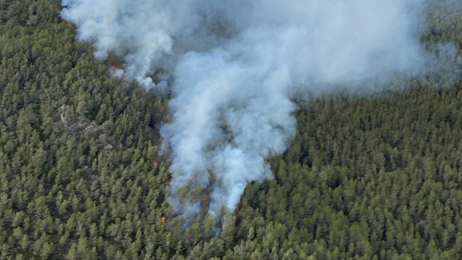 Forest vegetation fire in Montmell.