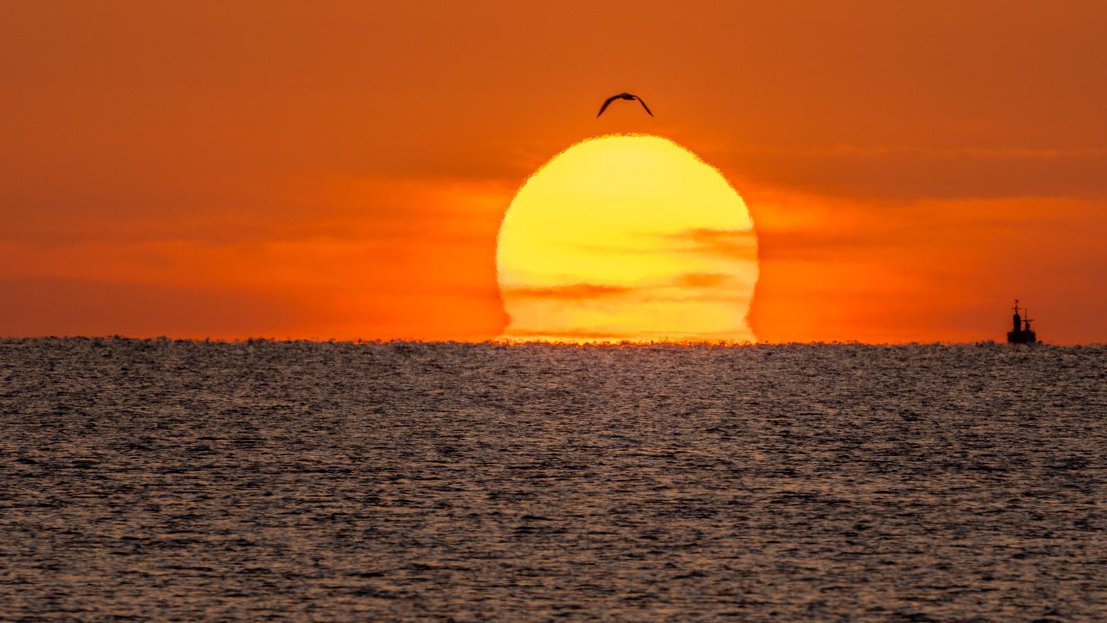 August has been warm and record-breaking at a global level.