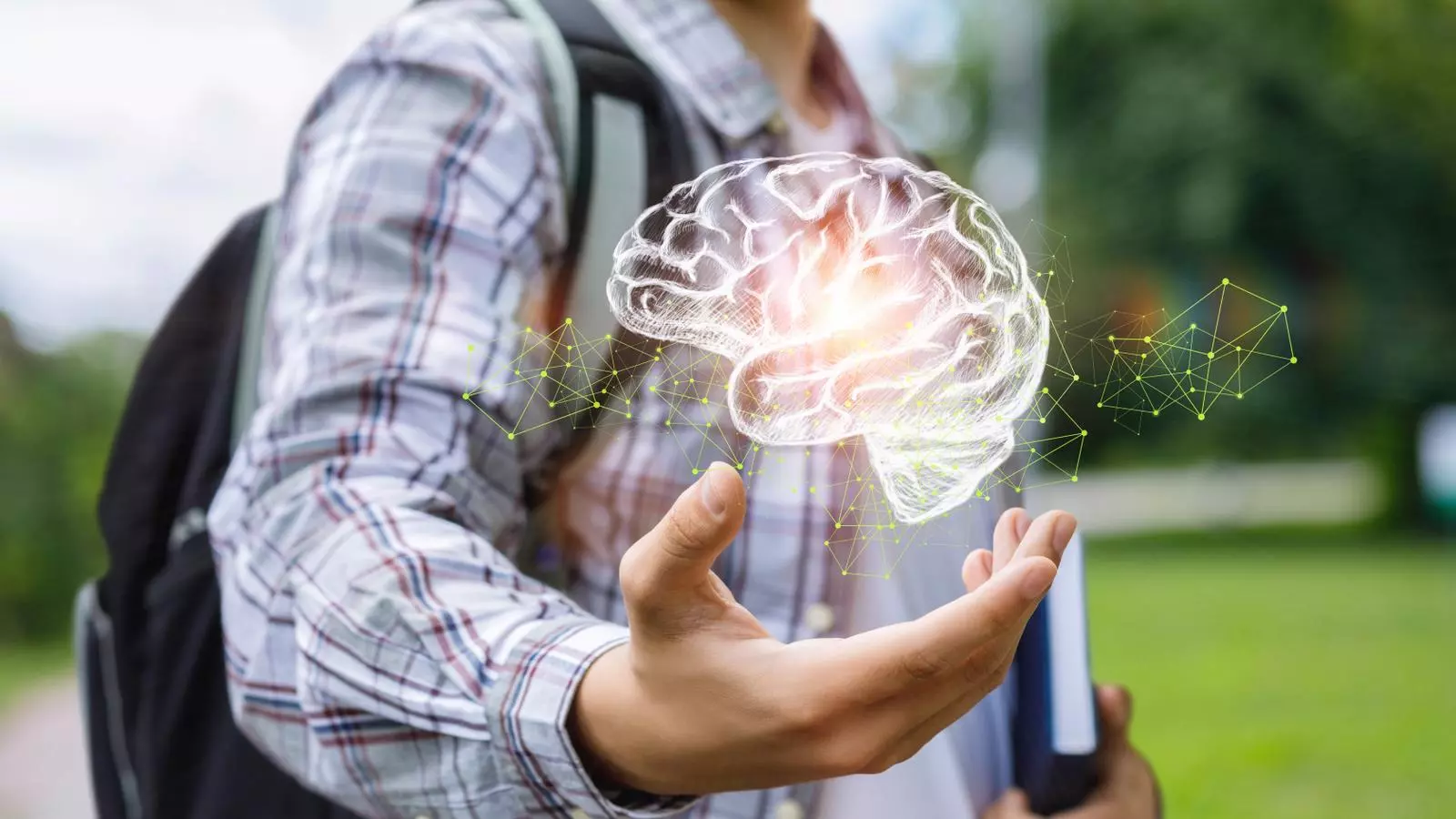 El fet que el còrtex prefrontal sigui l’última part del cervell que madura explica gran part de l’actitud dels joves.