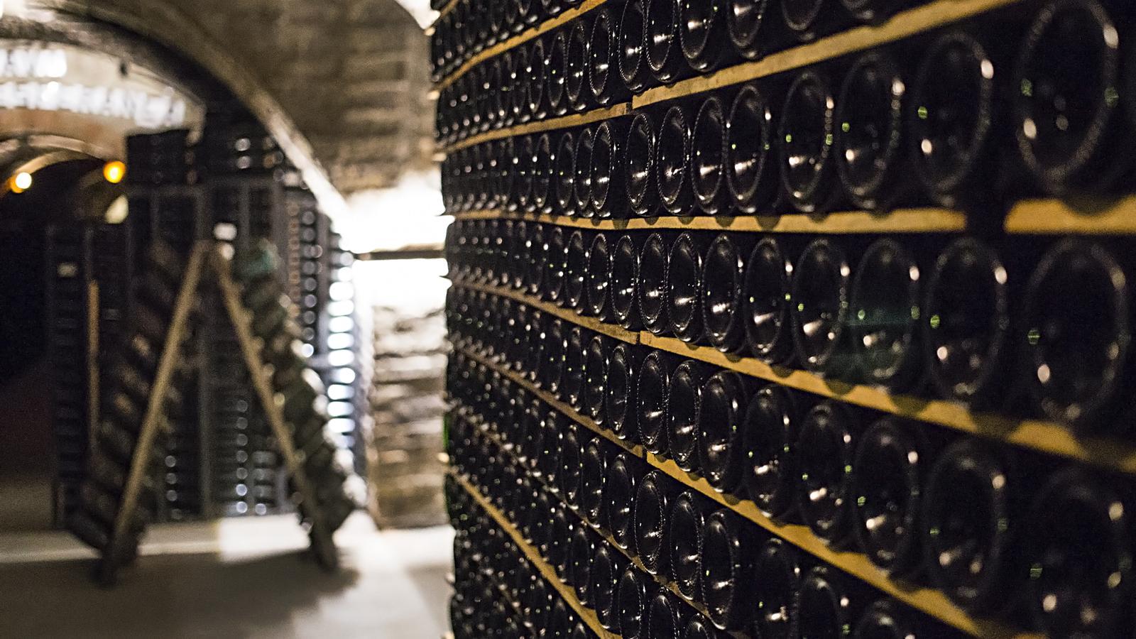 Image of the interior of a winery