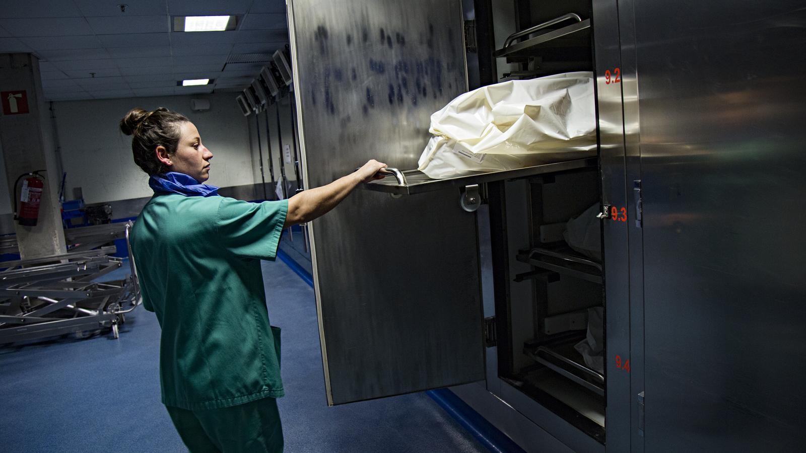 A professional opening the door of a freezer in a forensic institute.