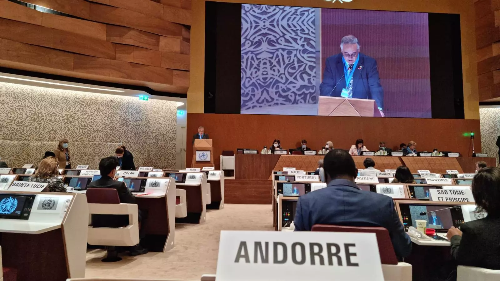 El ministre de Salut, Albert Font, durant la seva intervenció a la 75a Assemblea de l'OMS.