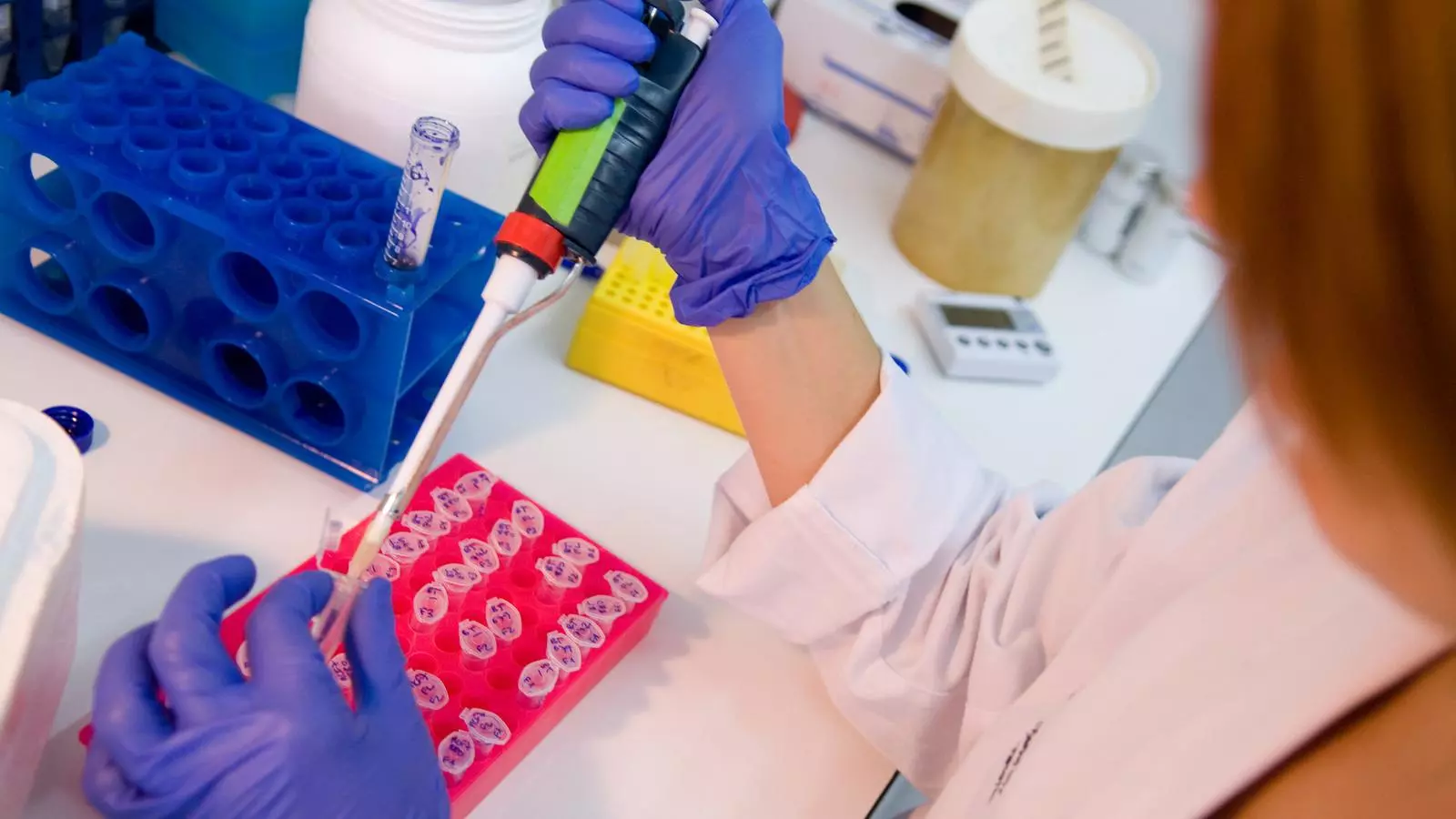 Un laboratori al Vall d'Hebron Institut d'Oncologia