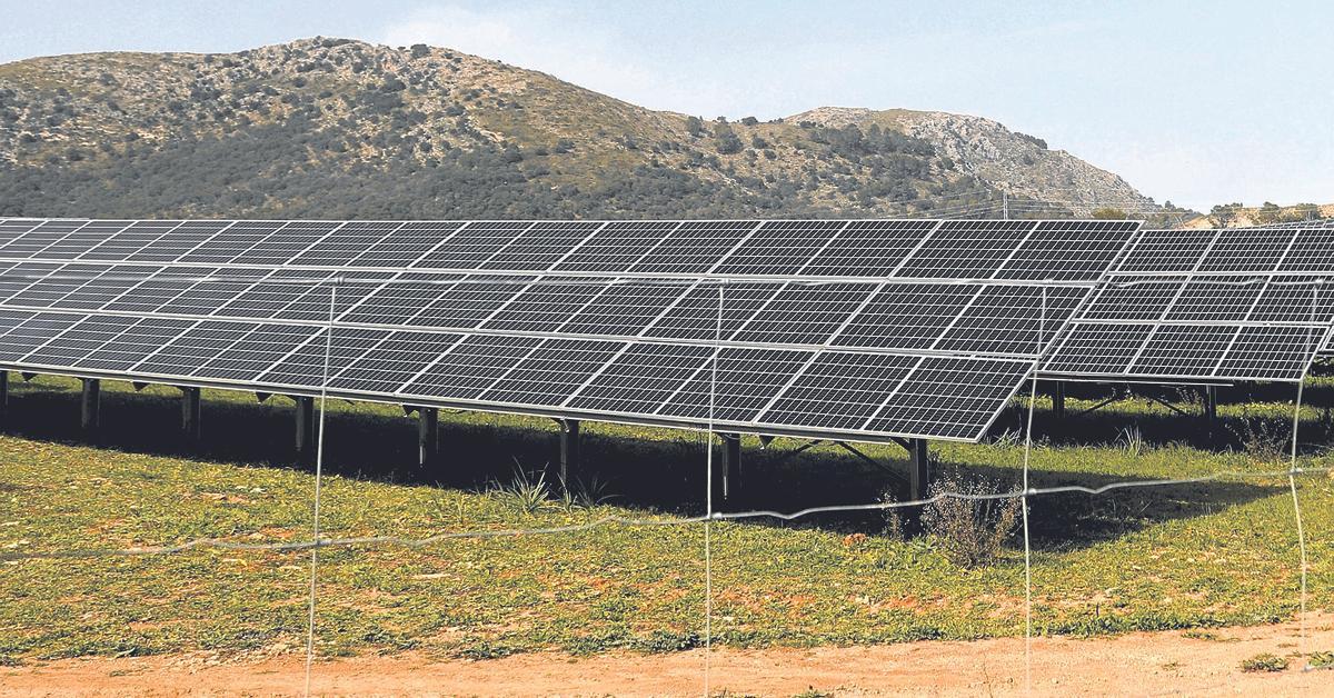Denuncian que el Govern continúa autorizando parques fotovoltaicos en ...