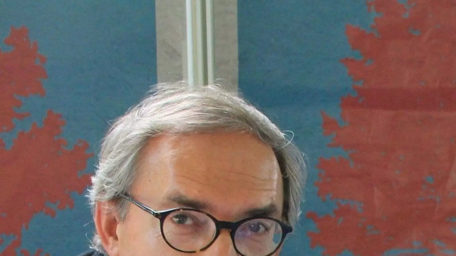 L'escriptor Manuel Rico