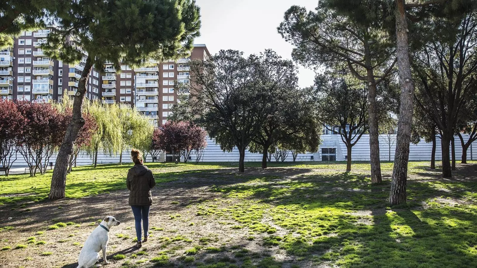 A Barcelona, no sense el meu gos