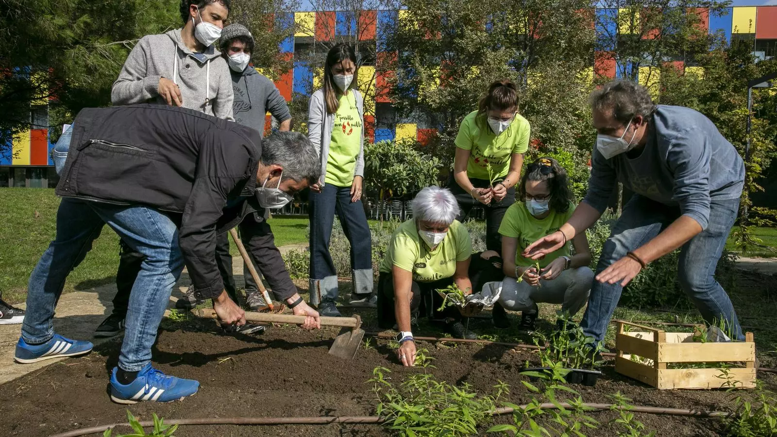 Imatge de l'hort on cultiven el membres de Fundesplai