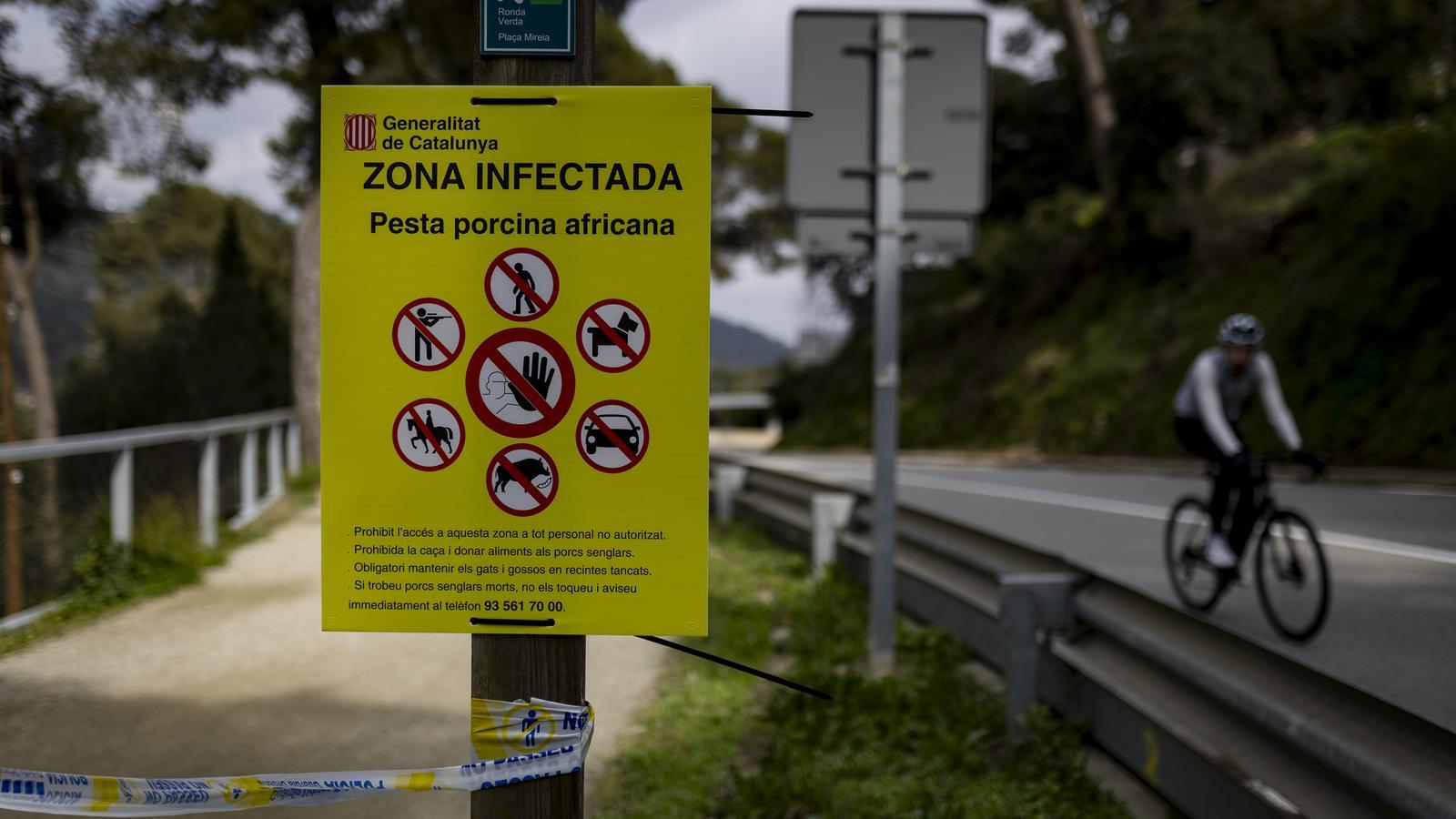Access to the Collserola Natural Park with a sign warning of the presence of African swine fever in wild boars in the area.