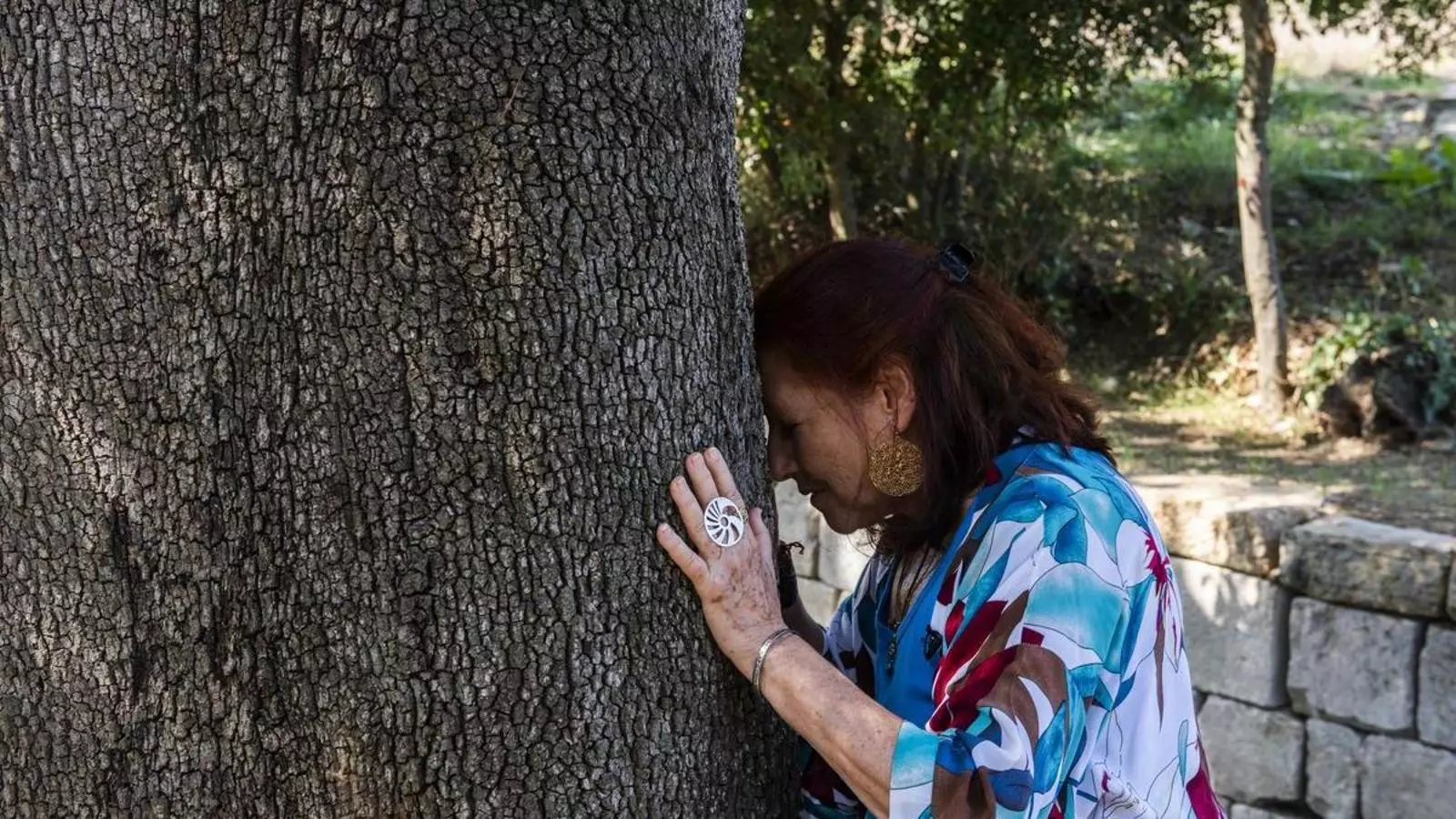 Eugènia Balcells abraçant un dels arbres centenaris que hi ha a la seu de la seva fundació de Castellar de la Selva.