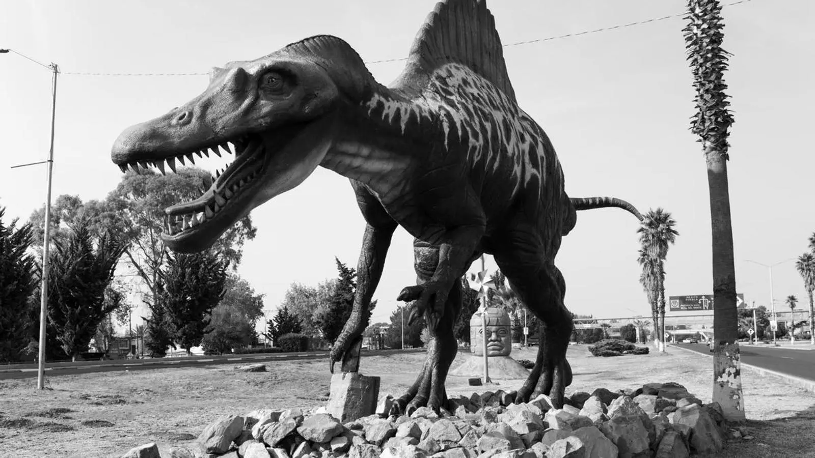 'HeghDI_ vem ghaH, tu’lu’ , DINOSAUR” (5), de Joan Fontcuberta