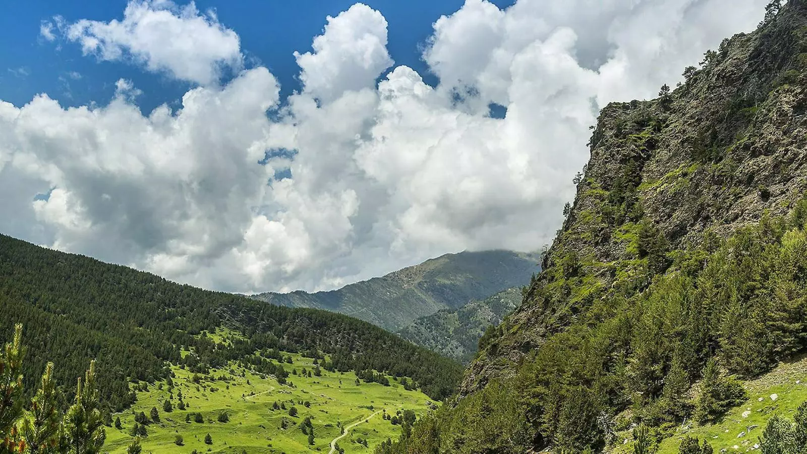 Els sons de la natura del Pirineu ja són a una llista d'Spotify