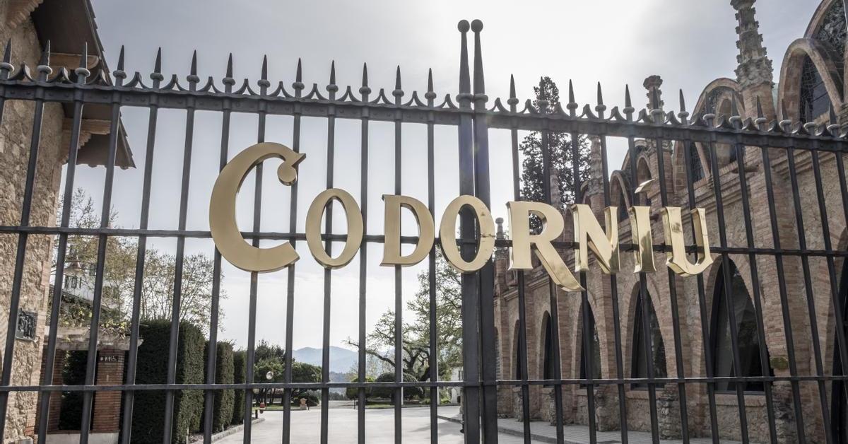 Codorníu hace ya todo su cava ecológico y aumenta ventas y beneficios