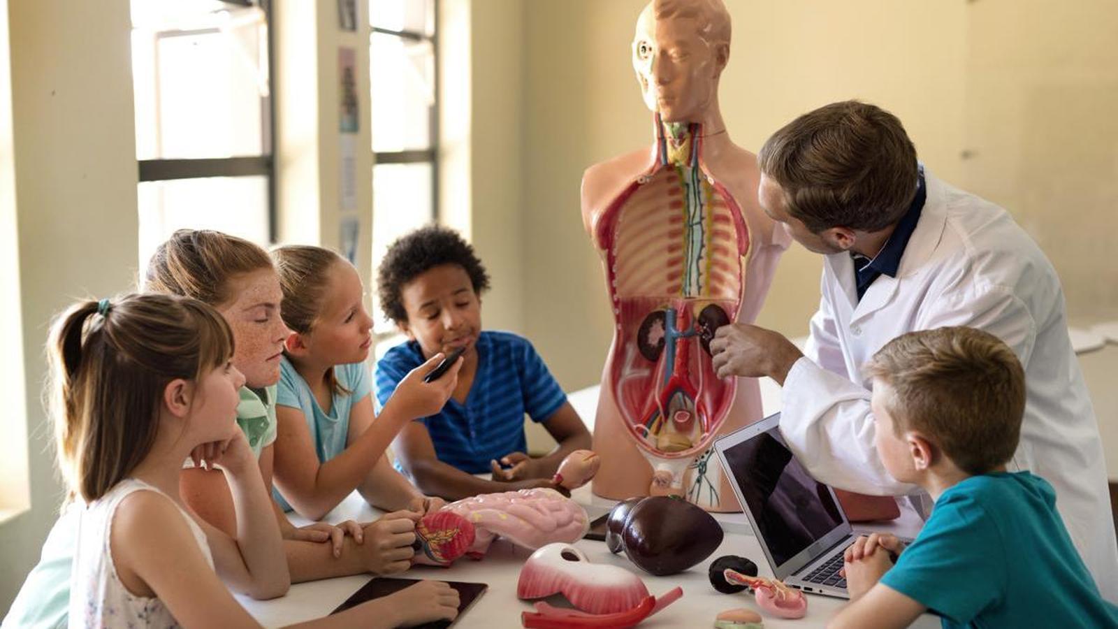 Students in an anatomy class.