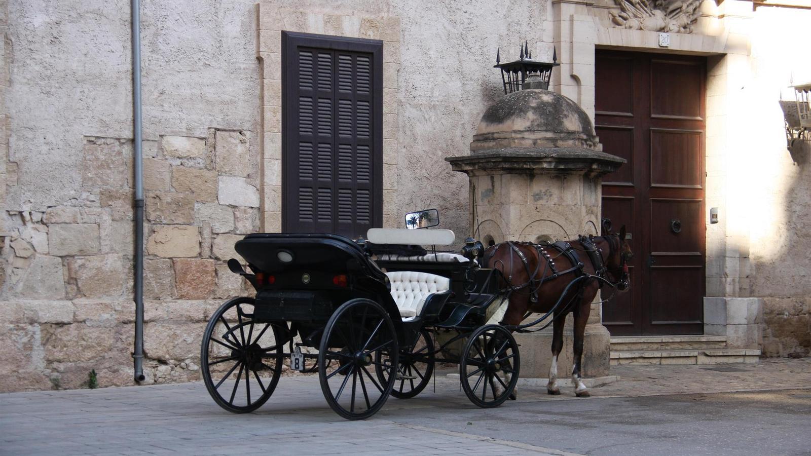 Un coche de caballos en Palma