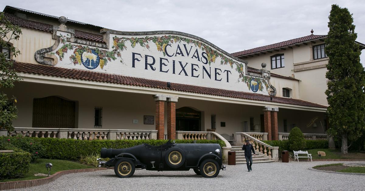 Корпоративное подразделение Freixenet сменило название на Freixenet Iberia в Испании