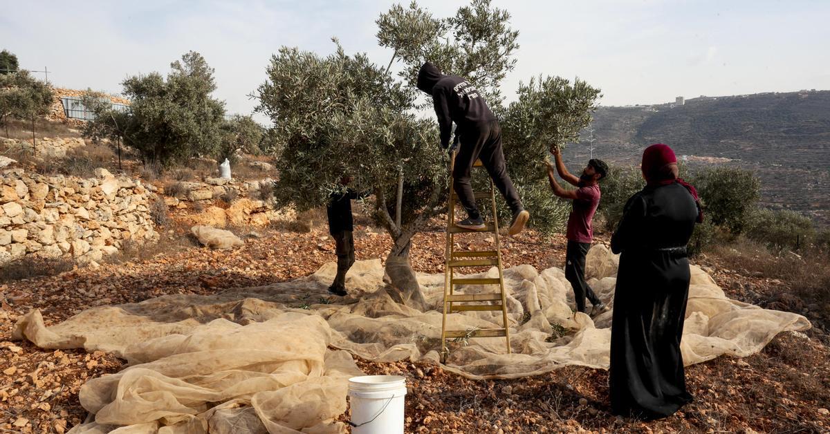 Israeli Settlers Attack European Diplomats and Journalists in West Bank