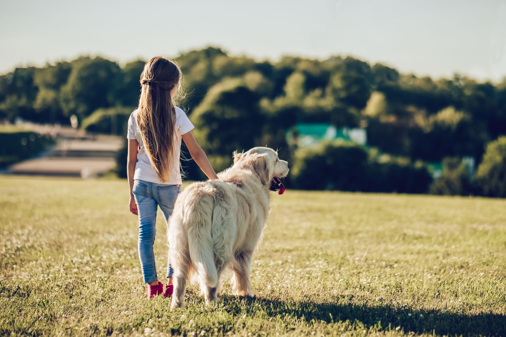 Nens i animals de companyia: quan i quins?
