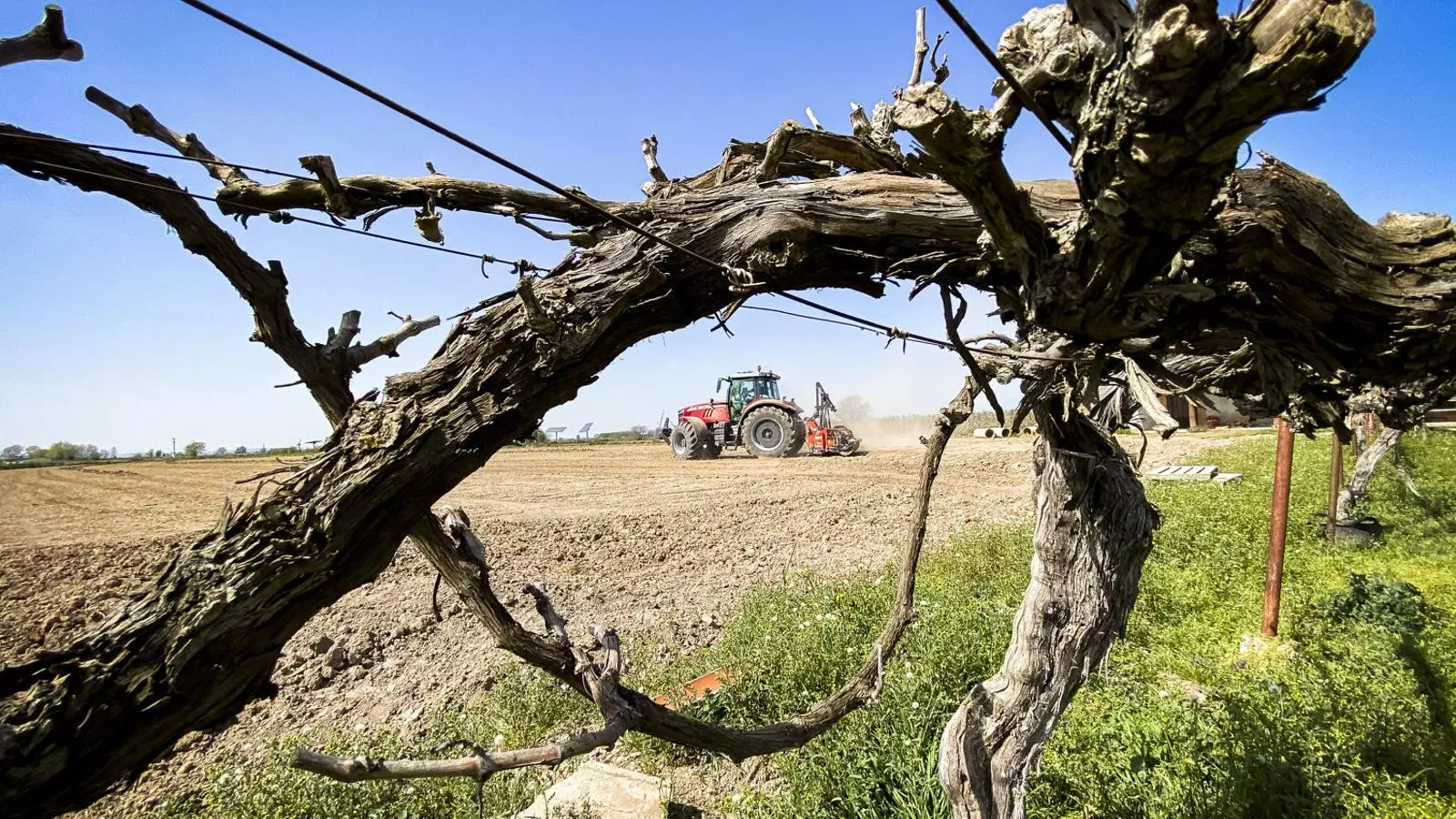 Explotació agrària a Vilanova de Bellpuig (Pla d’Urgell), en una imatge d’arxiu.