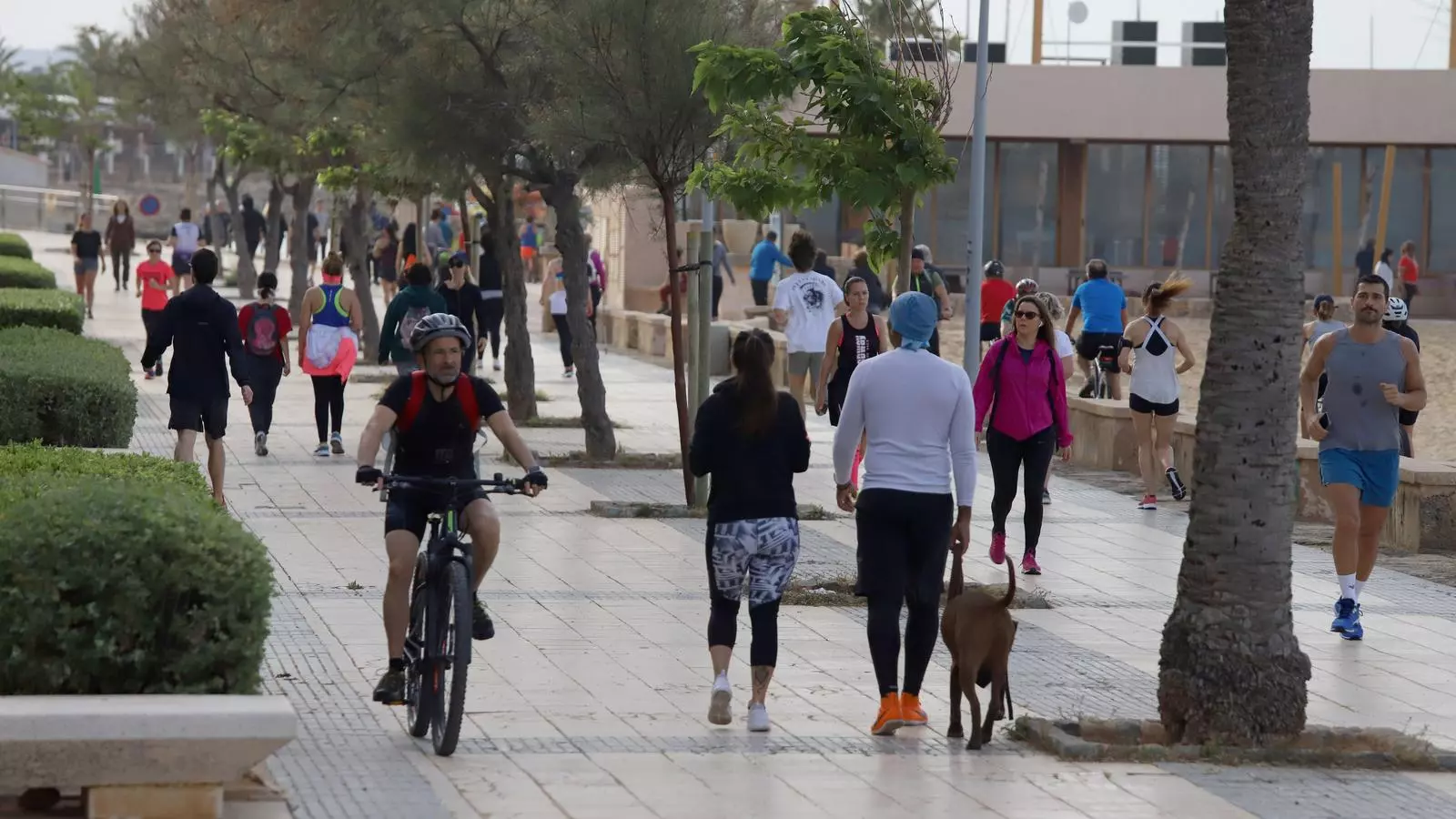 La gent ja pot sortir a fer esport de sis a deu del matí i de vuit a onze del vespre