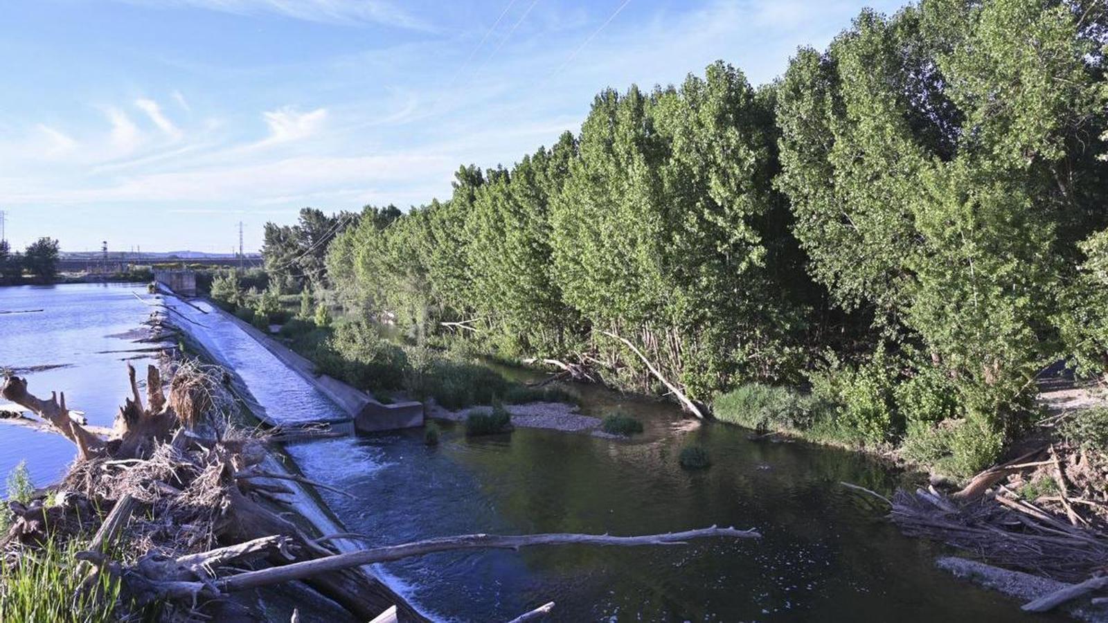 Image of the Baños de Cerrato dam