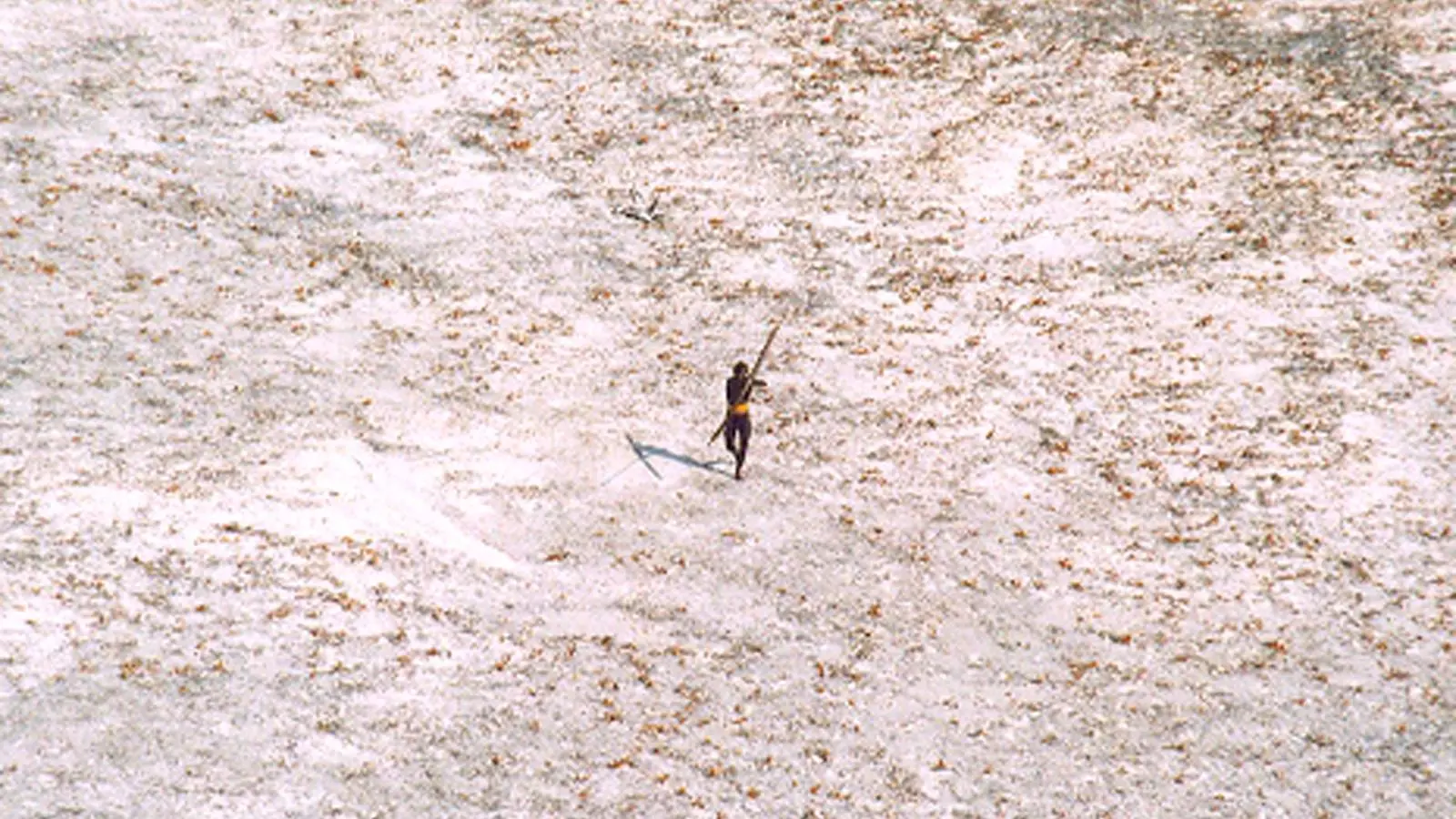 Un aborigen de l'illa de Sentinel del Nord.