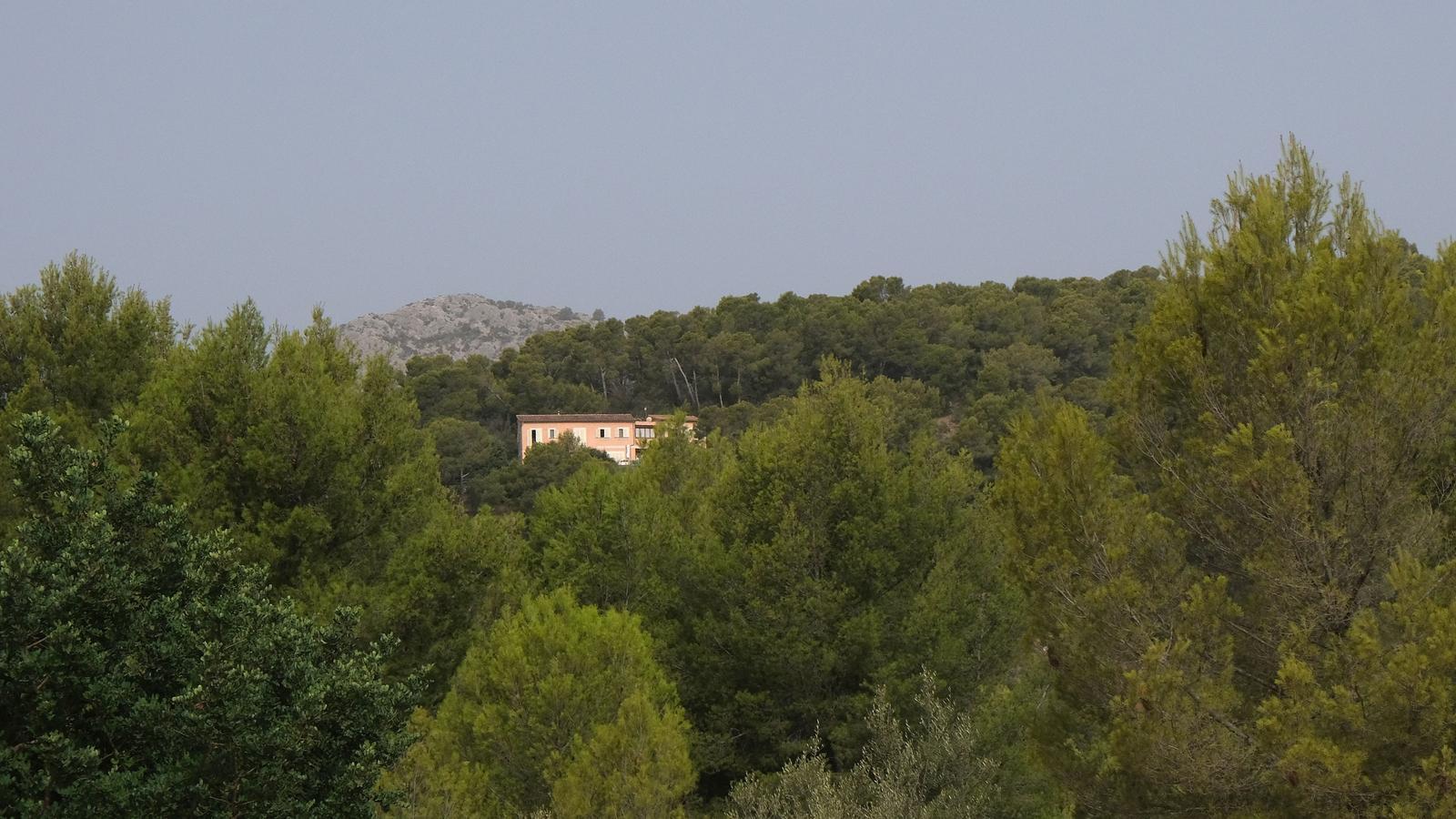 Building houses in the middle of the forest makes no sense, according to territorial specialists.