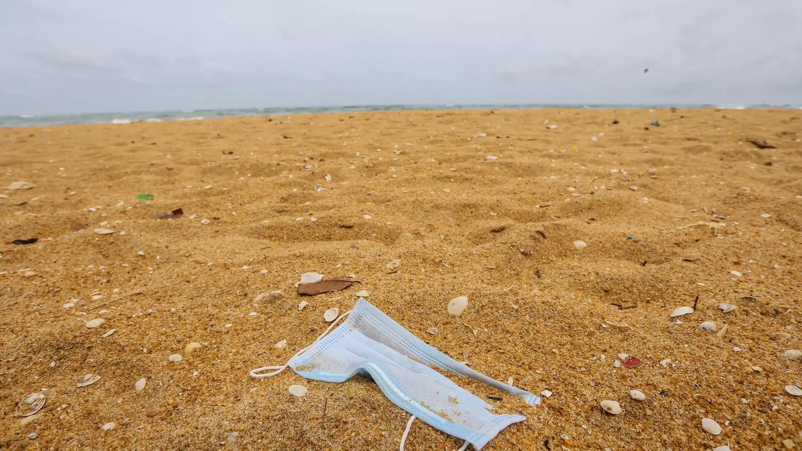 Una mascareta abandona a la platja