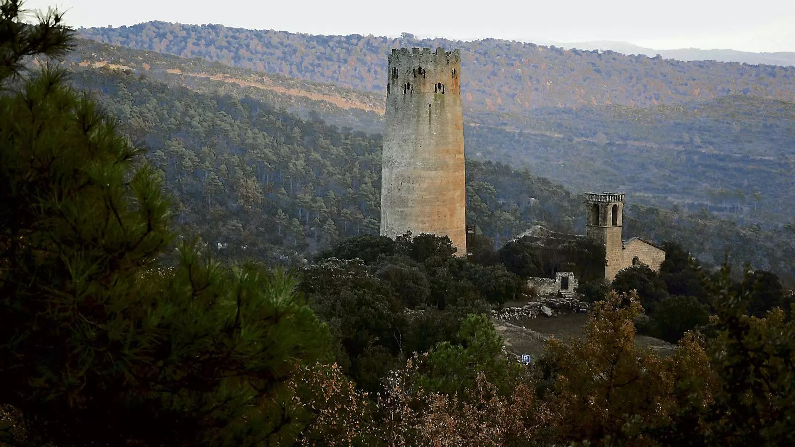 Des de dalt de la torre de Vallferosa es veuen sobretot boscos feréstecs.
