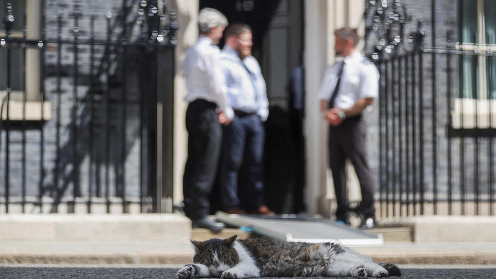 Larry, el gato de Downing Street, dormitando en Downing Street este domingo.