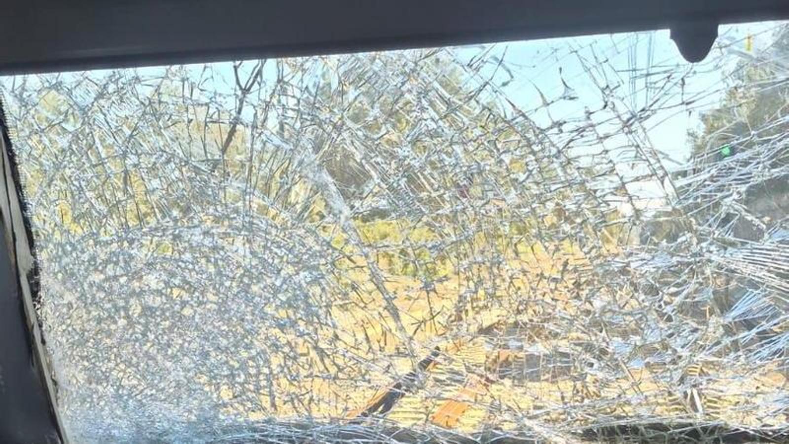 Imatge del tren de la R11 que va xocar contra un arbre a Sant Jordi Desvalls.