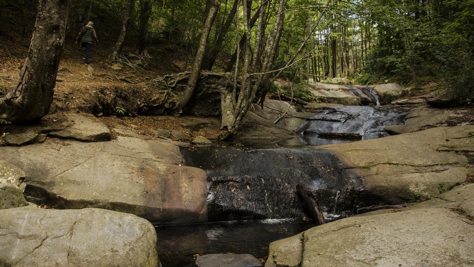 The Santa Fe del Montseny stream
