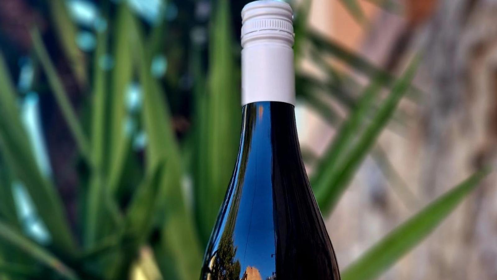 La etiqueta del Vino Nuevo de la pasada edición