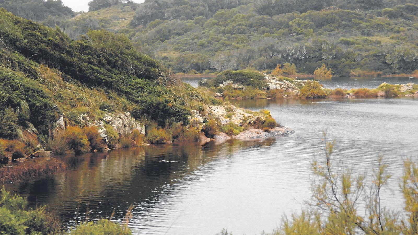 El Parc Natural de l’Albufera del Grau.