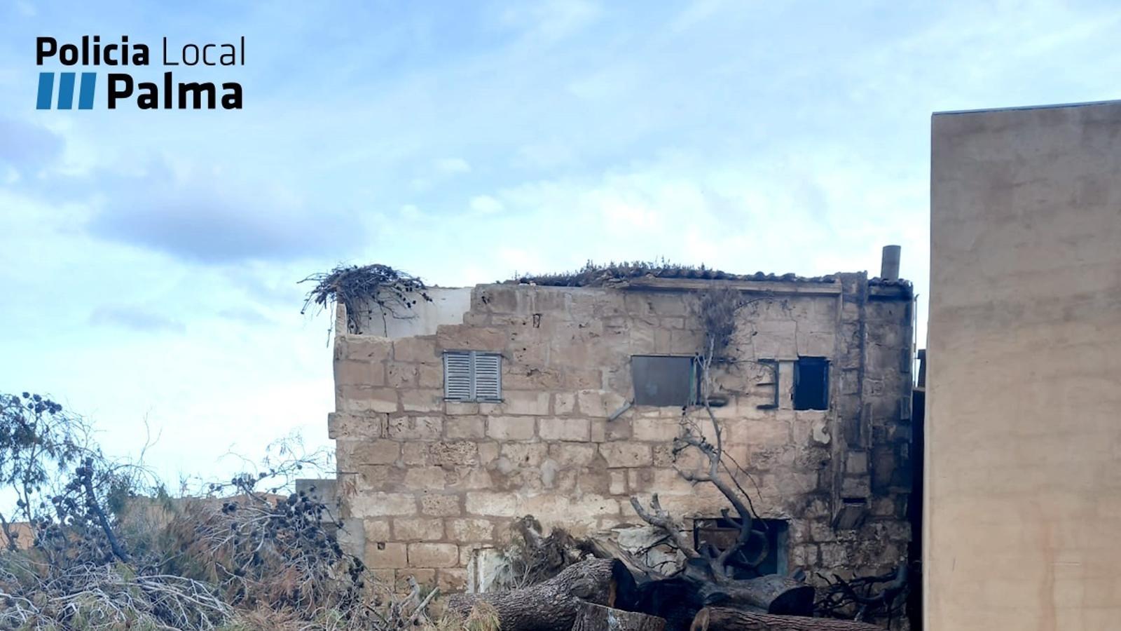 Das betroffene Grundstück