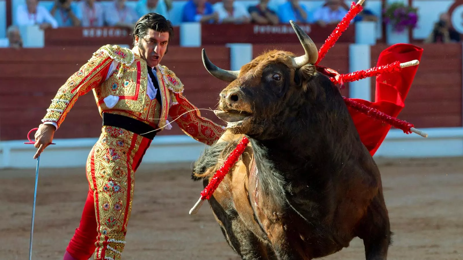 El torero José Antonio "Morante de la Puebla" a la plaça de l'Bibio, en Gijón.