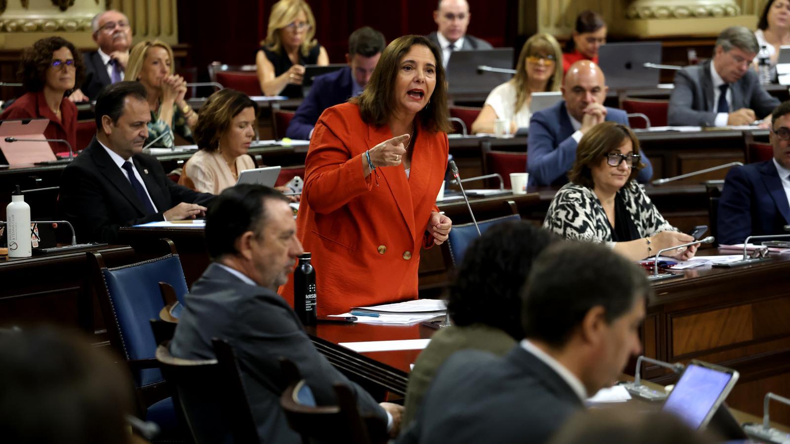 The Minister of Health, Manuela García, in a plenary session of Parliament.