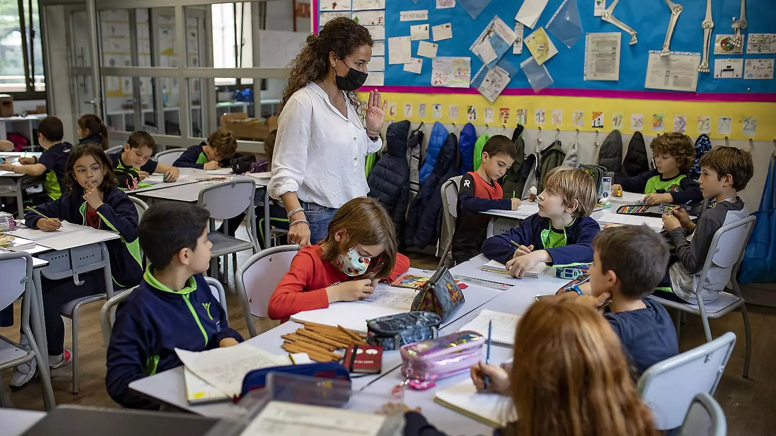 La solitud de la professora de català