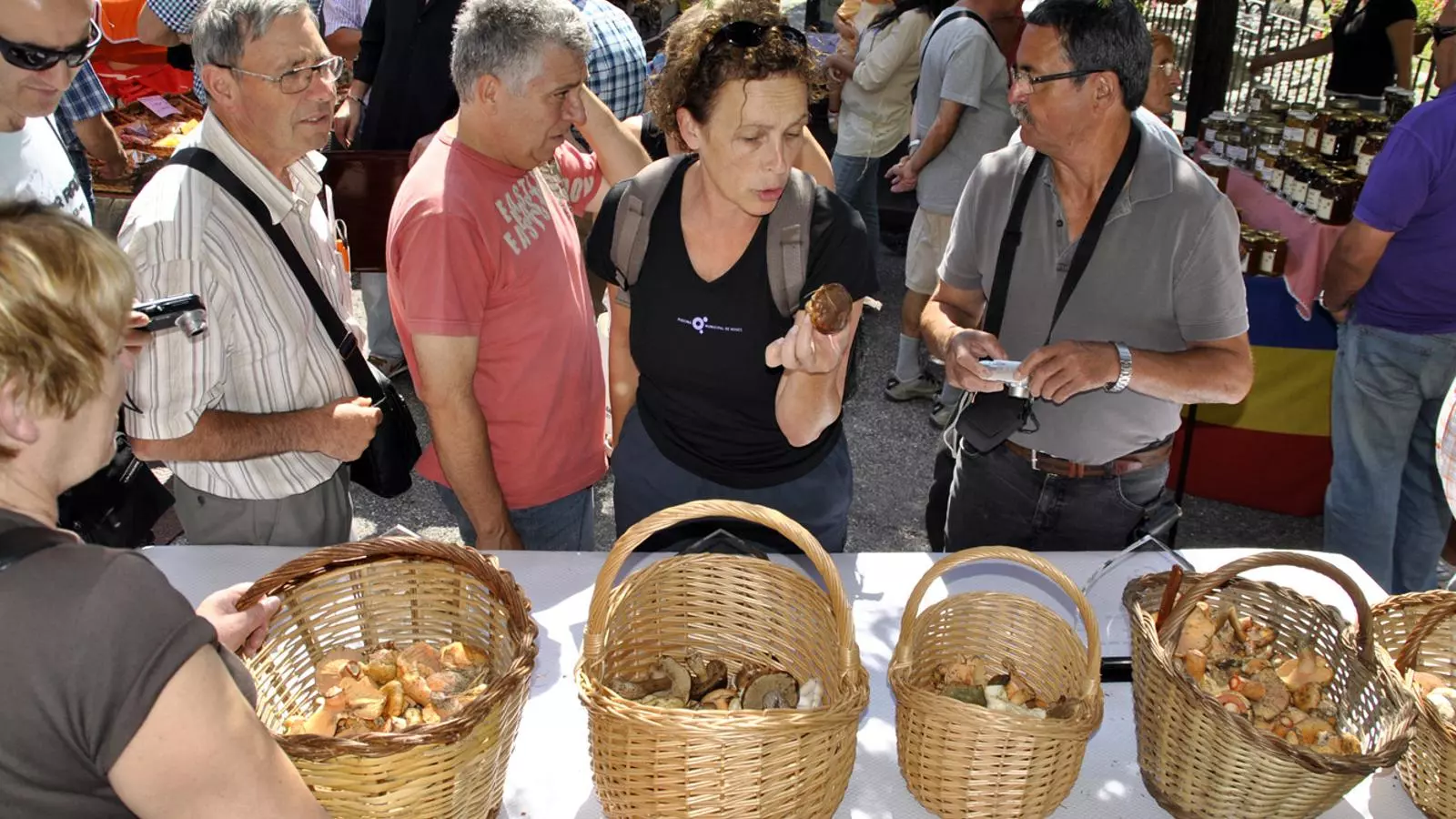 Alguns visitants i concursants observen els bolets trobats aquest dissabte a Andorra.