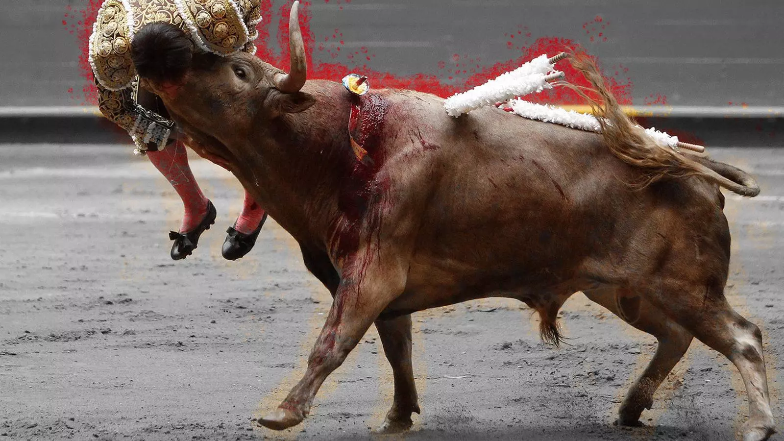 A favor dels toros (dels animals, s’entén)