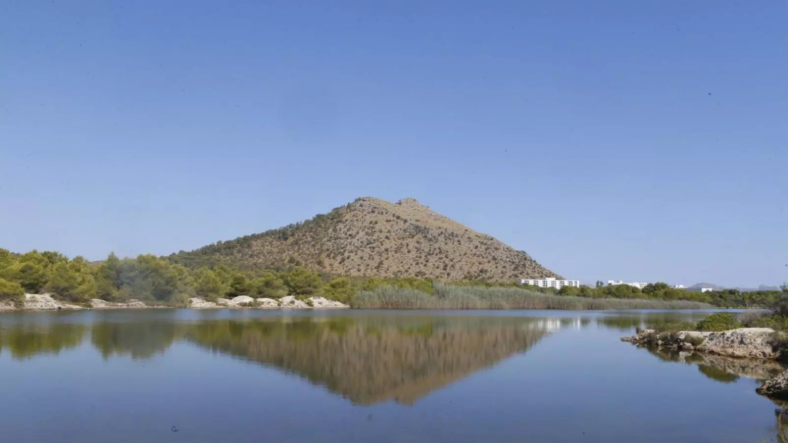 Visita a l'Estany del Pont