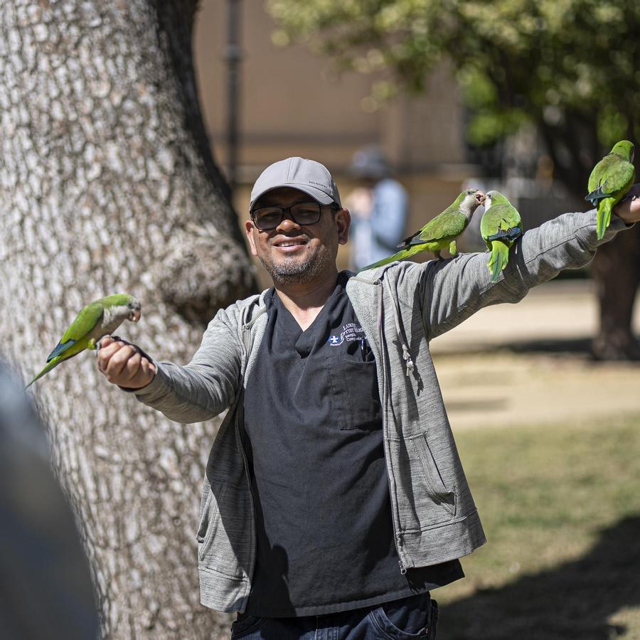 A man offering parrots to tourists for photos in a park.