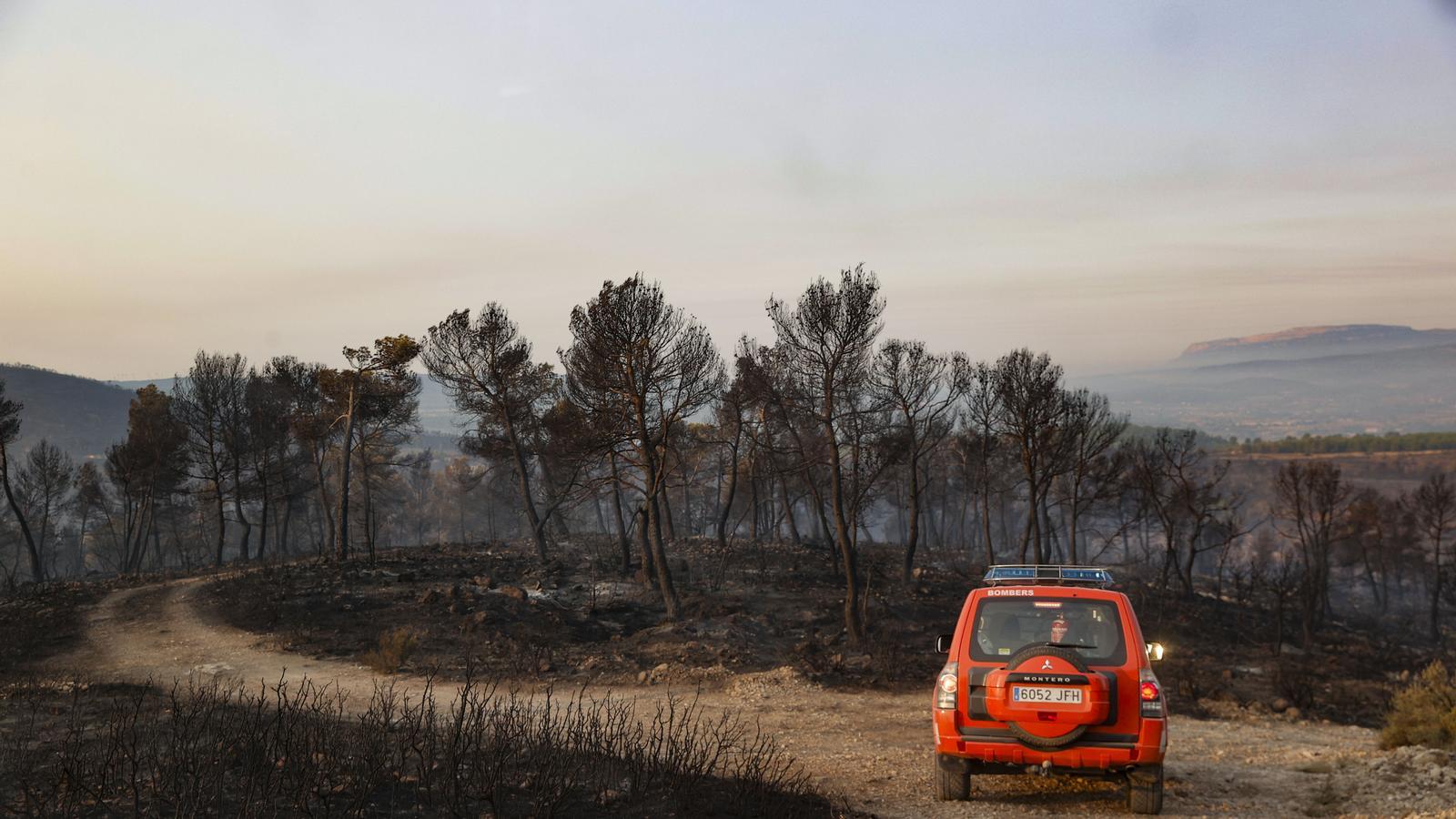 Seven aircraft are already working to extinguish the fire in Teresa de Cofrentes.