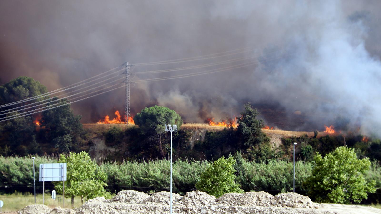 The fire of Carme
