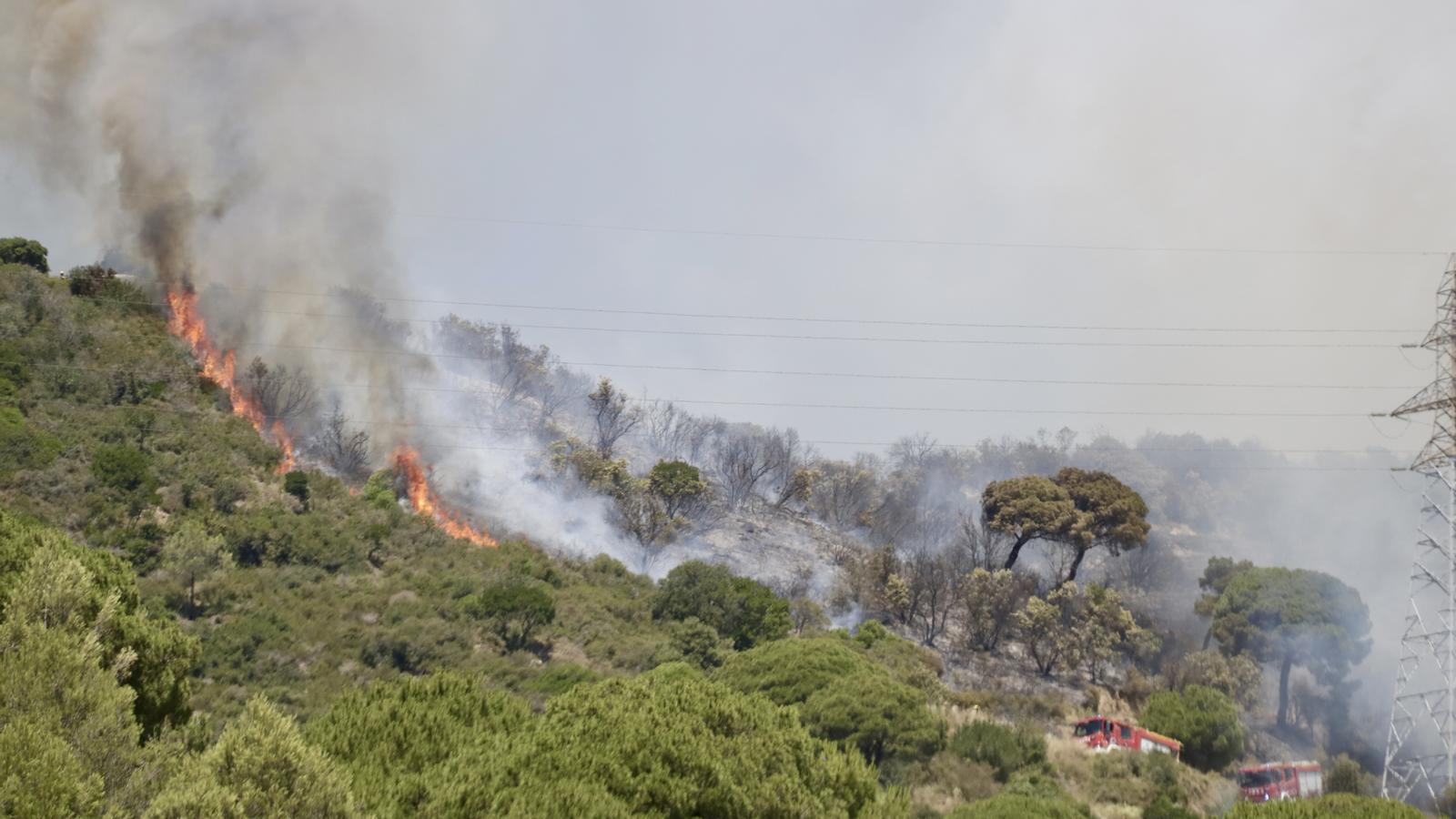 Imagen del incendio entre Tiana y Montgat.